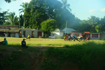 DSC_7789 (Large).JPG